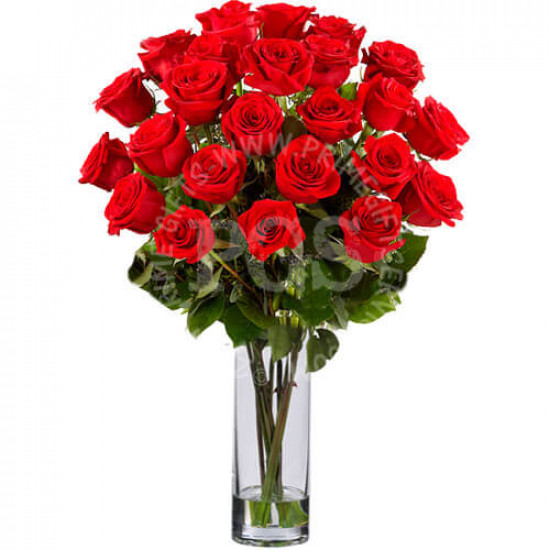24 Imported Red Roses Bouquet
