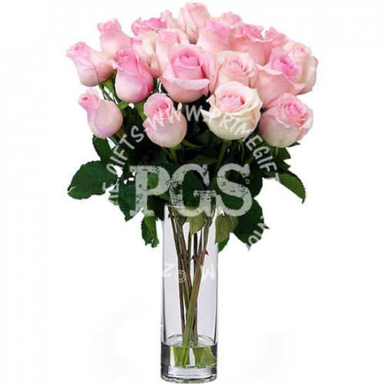 24 Pink Imported Roses