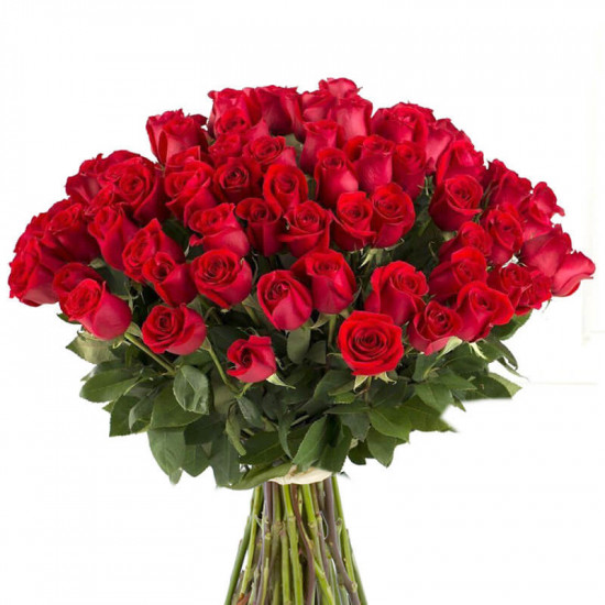 60 Red Roses Bouquet 60 Red Roses Bouquet