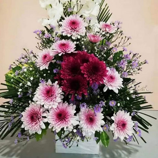 Bloomed Love Bloomed Love