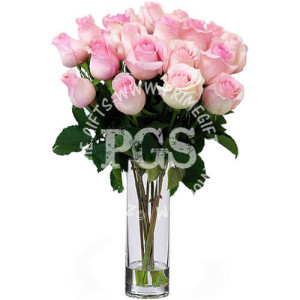 24 Pink Imported Roses 24 Pink Imported Roses