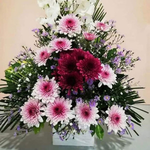 Bloomed Love Bloomed Love