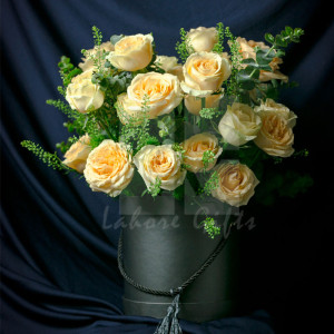 White Beauty White Beauty