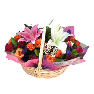 Colours Crowd Colours Crowd