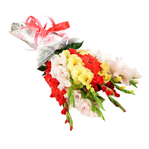 One Dozen Mix Gladiolus Bouquet One Dozen Mix Gladiolus Bouquet