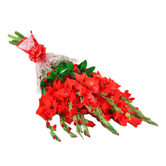 One Dozen Red Gladiolus Bouquet