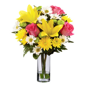 Sunrise Beauty Sunrise Beauty