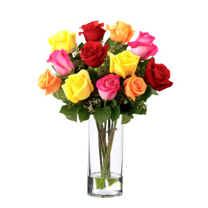 One Dozen Premium Mix Roses One Dozen Premium Mix Roses