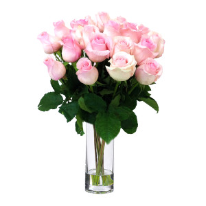 Two Dozen Premium Pink Roses Two Dozen Premium Pink Roses