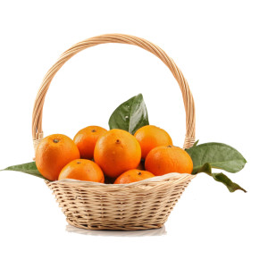 Oranges Basket Gift Oranges Basket Gift